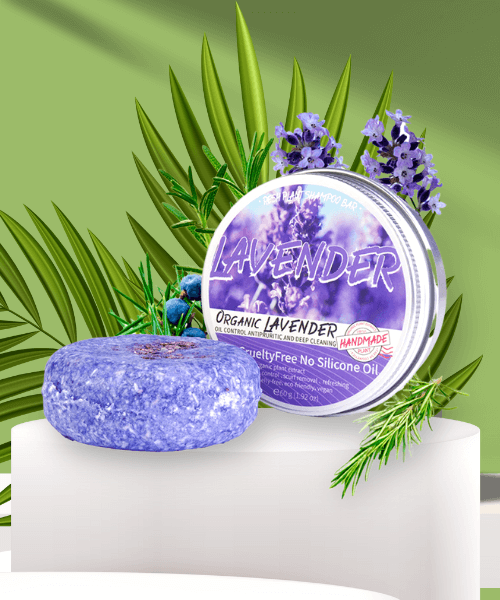 designsemnome 2023 05 04t114552.691 1.png